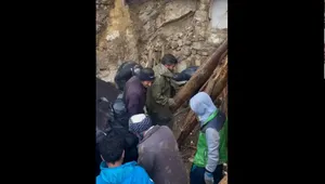 عملیات نجات پرهیجان قوچ از زیر آوار (فیلم)