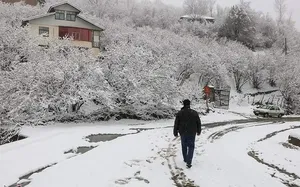 بارش برف در پردیس تهران در شب زمستانی