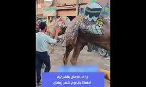 جشن استقبال از ماه رمضان با تزیین شتر‌ها در مصر