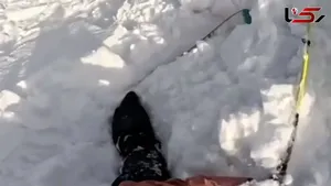 لحظه گرفتار شدن اسکی باز و سگش در بهمن
