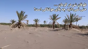 طوفان شن در کرمان ... حتی نمی‌دانید چه بلای هولناکی است / ای کاش مدیران در ایران چنین گزارش‌هایی را درک می‌کردند