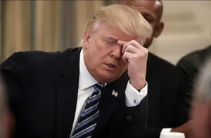 تعرفه های ترامپ شکست خورد: یک اسباب‌بازی‌فروشی دولت را به چالش کشید