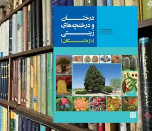 از کاج مشهدی تا سرو شیراز: نردبانی از آسمان