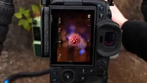 هنر نورپردازی در عکاسی ماکرو؛ تکنیک‌های ثبت جزئیات گل در نور روز (فیلم)