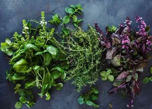 سبزیجاتی که بیشترین خواص را برای سلامتی دارند