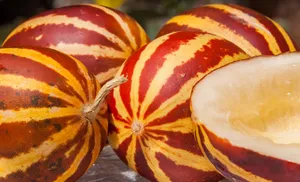 خواص دستنبو؛ میوه‌ای خونساز و مقوی (فیلم)