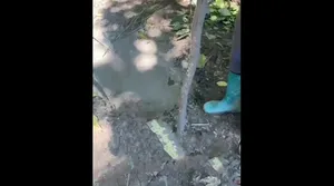 هشدار، این چاله های کوچک در طبیعت عمقی وحشتناک دارند