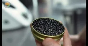 فرآیند پرورش ماهی خاویاری و استحصال خاویار