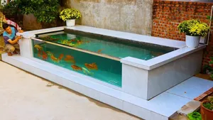 آموزش ساخت آکواریوم ساده برای نگهداری ماهی